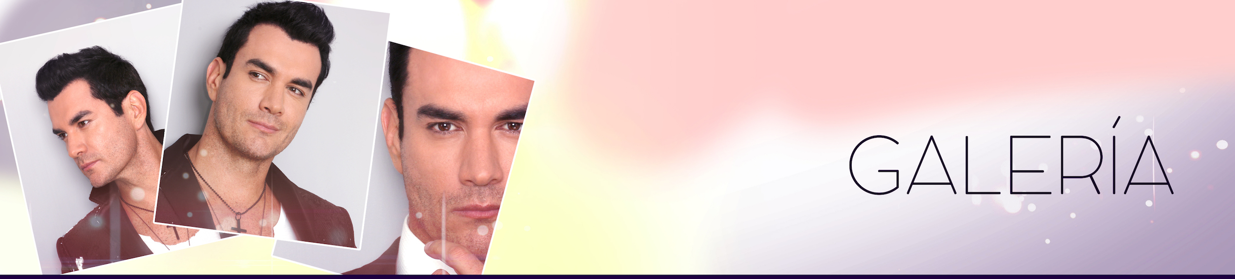 banner galeria